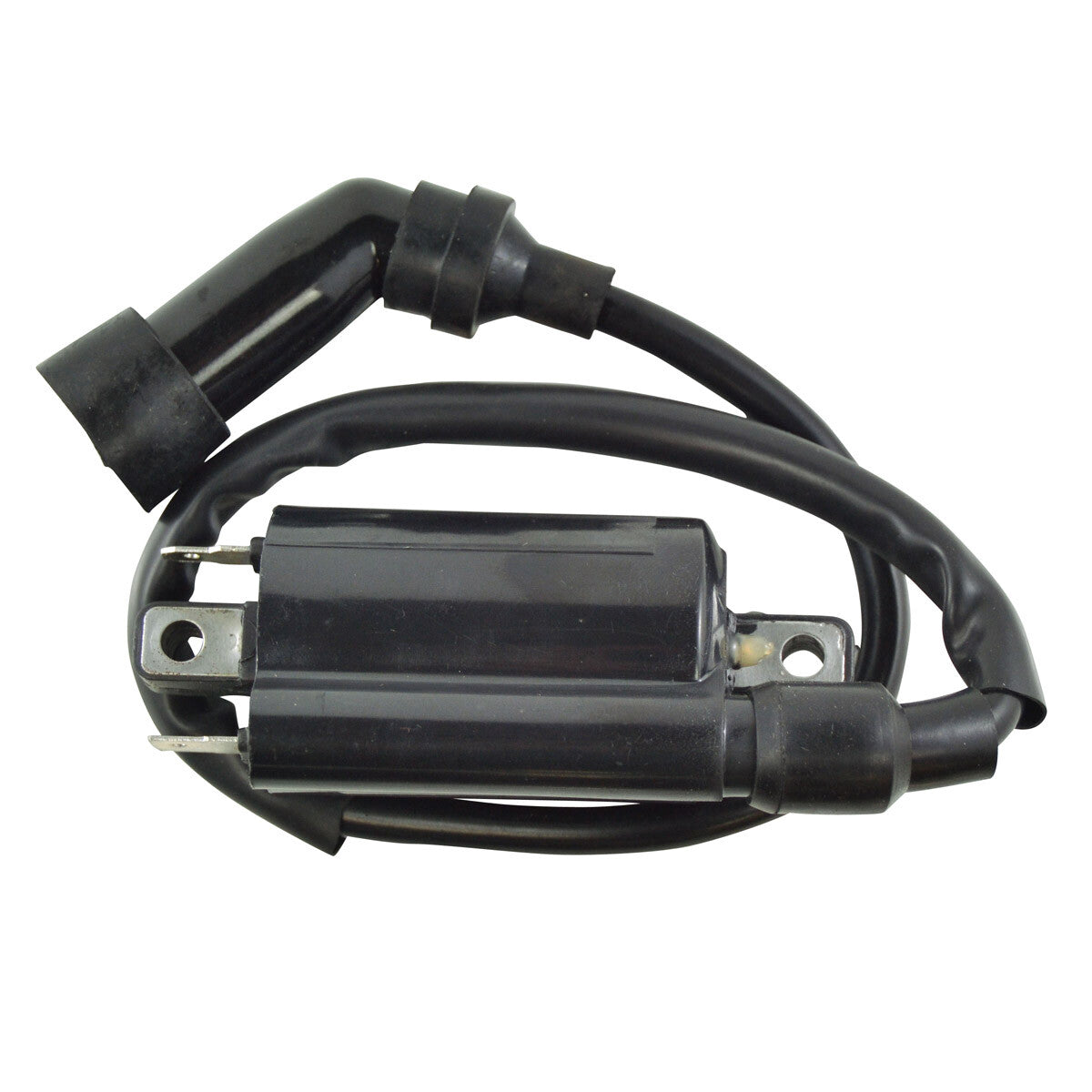 EXTERNAL IGNITION COIL W/SPARK PLUG CAP