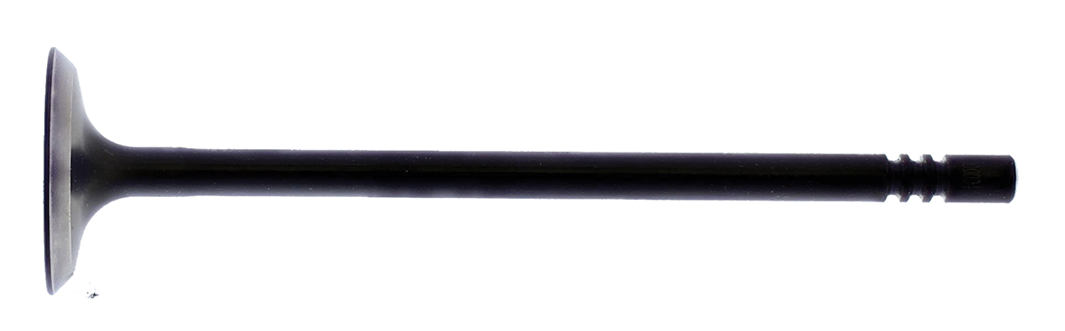 Exhaust Valve