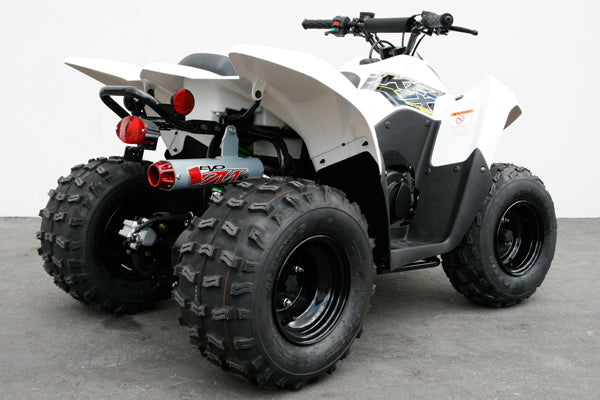 EVO M Full System - Kawasaki KFX 90 (08-24)