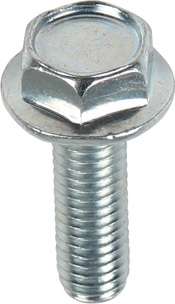 10MM HEX HEAD FLANGE BOLTS 6X1.0X20MM 10/PK