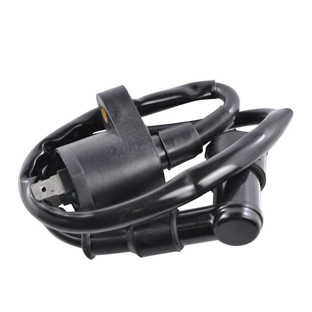 EXTERNAL IGNITION COIL W/SPARK PLUG CAP