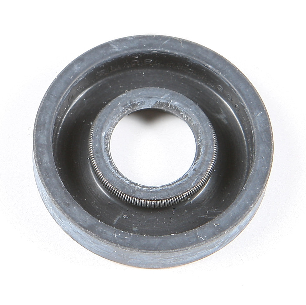 Oil Seal