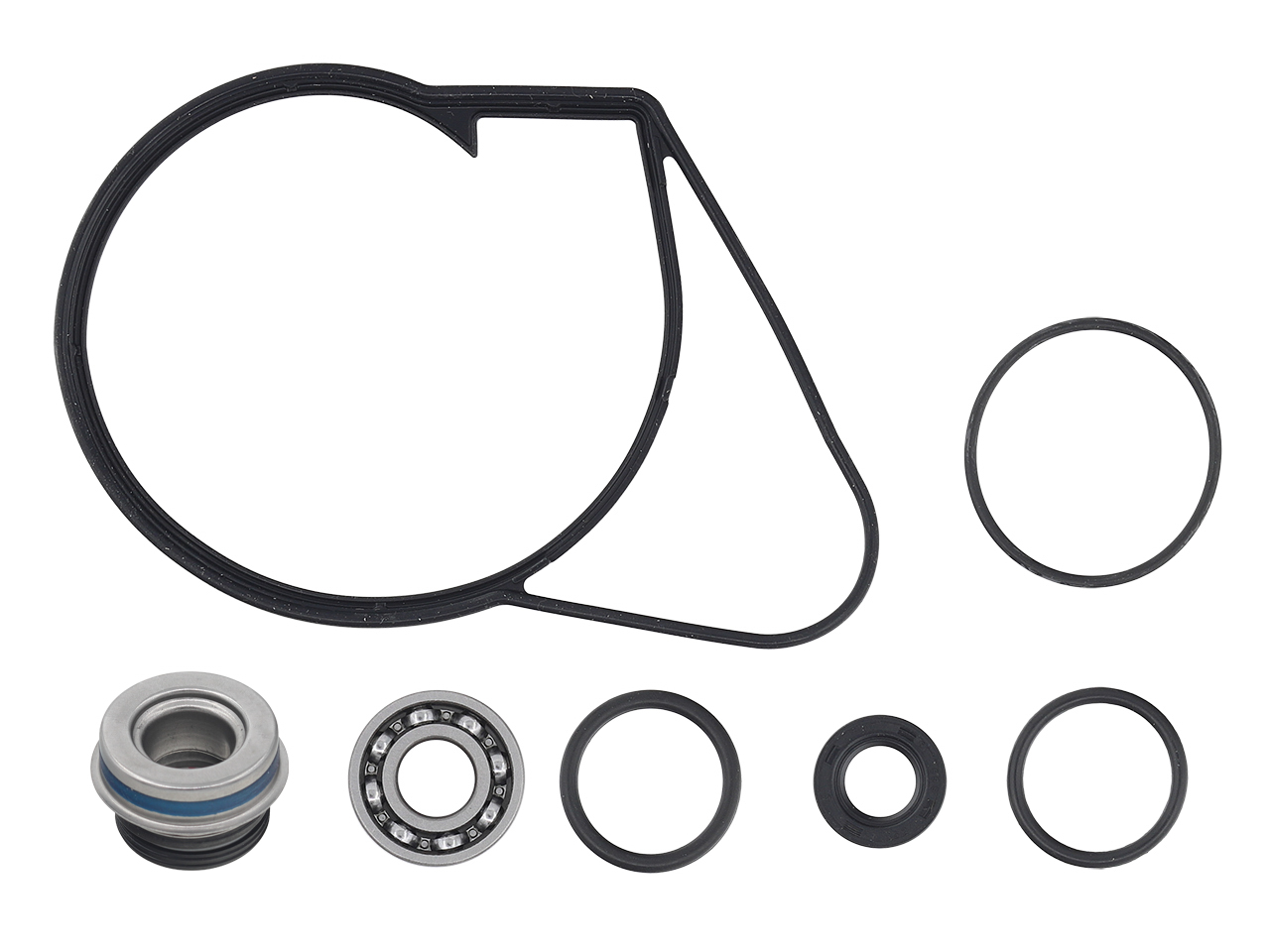 Water Pump Repair Kit