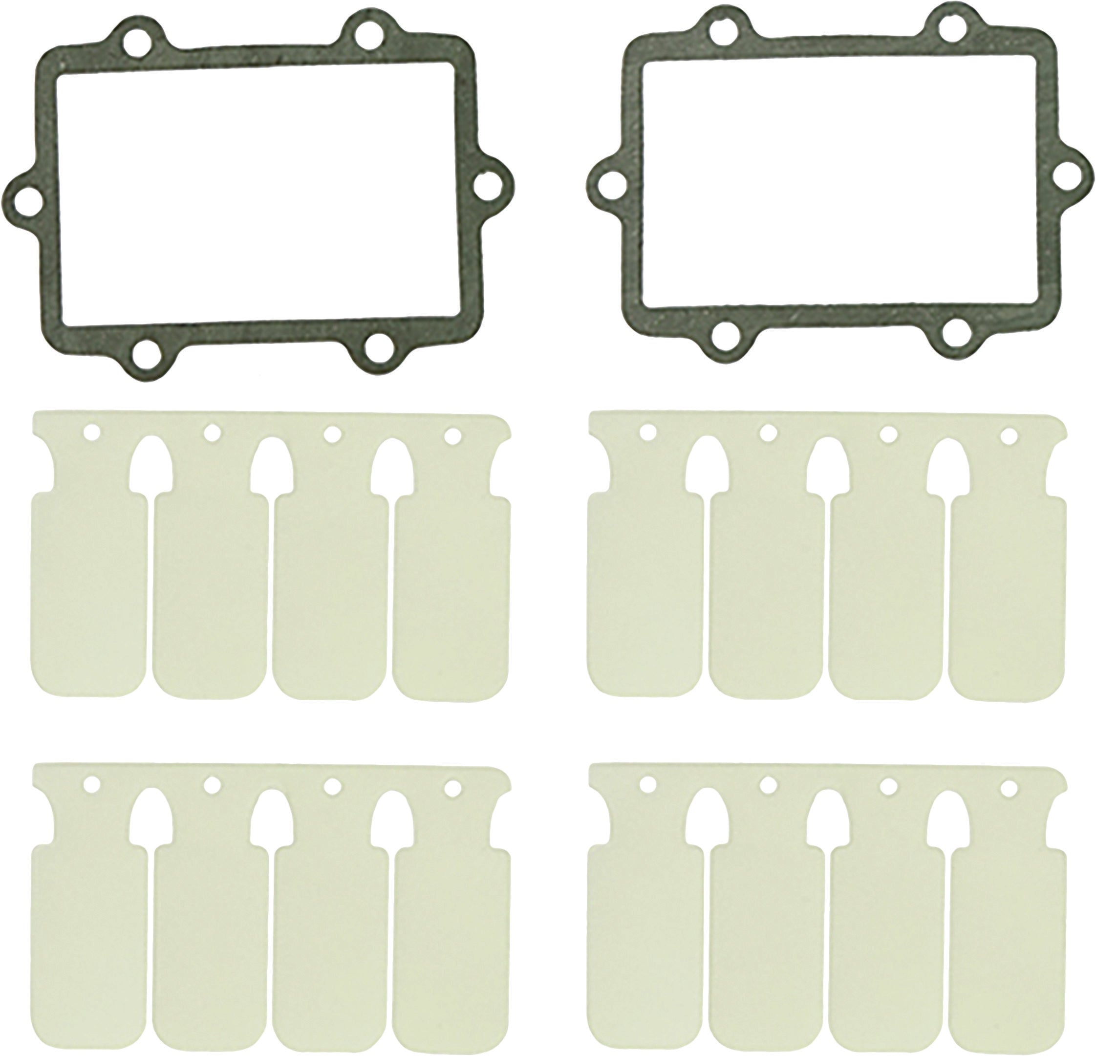 Reed Valve Rebuild Kit