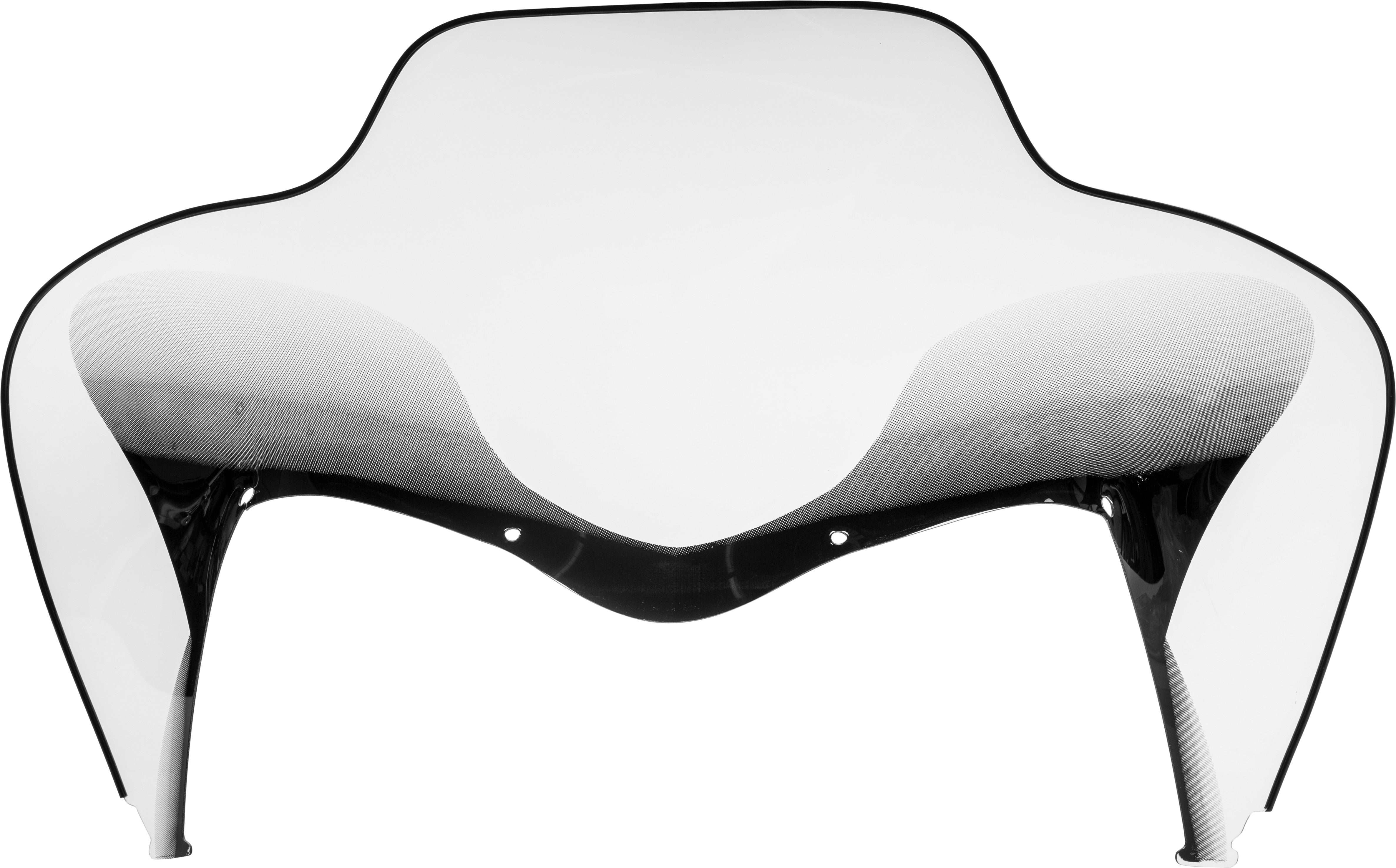 Windshield