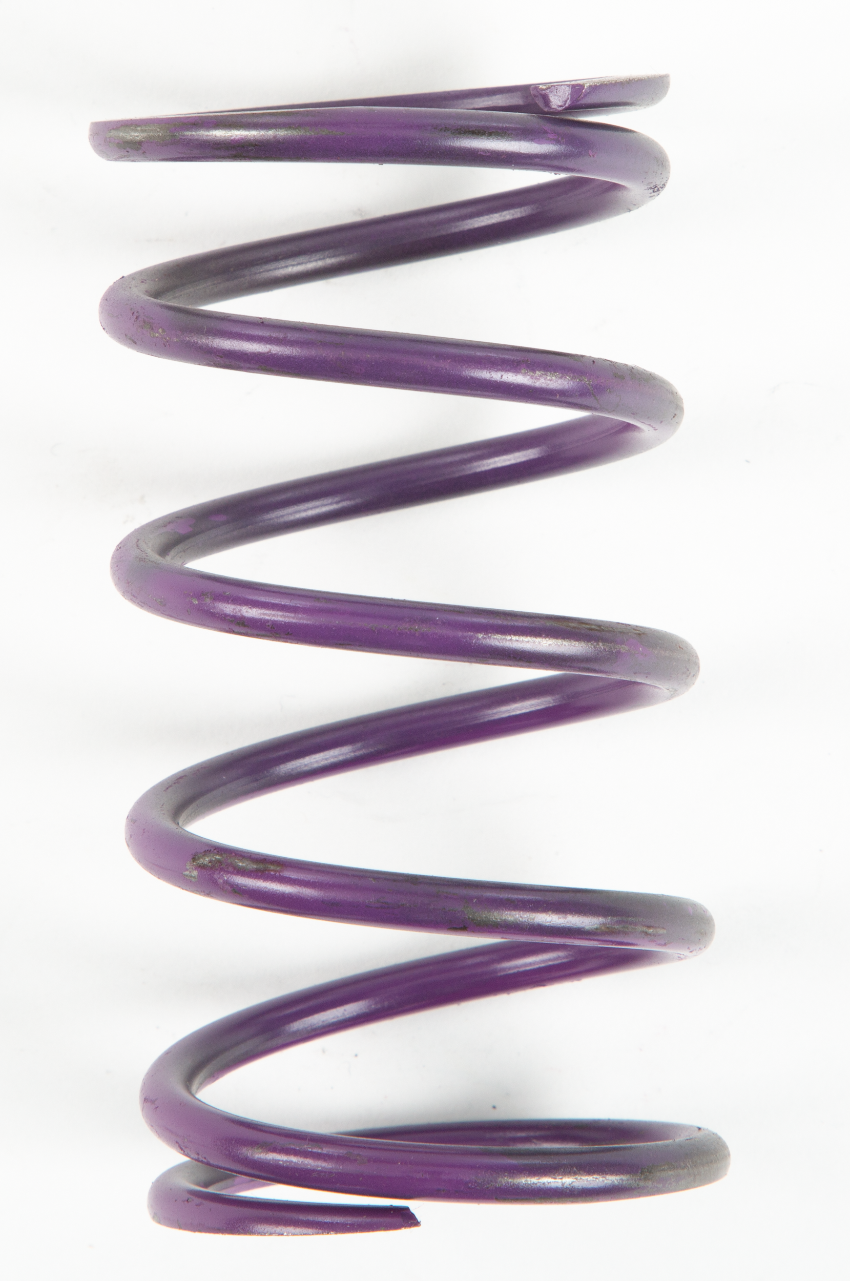 PURPLE SPRING
