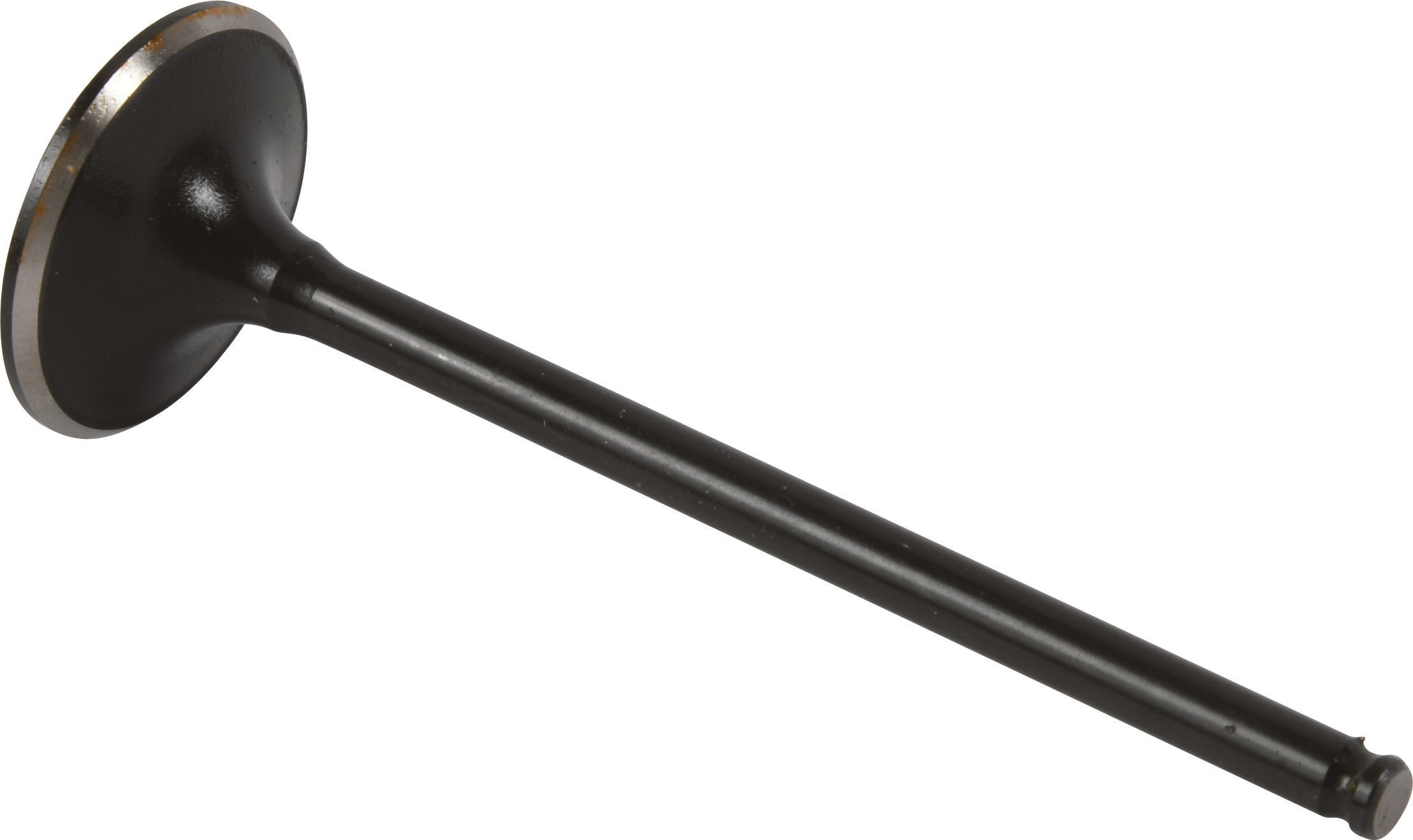 Exhaust Valve