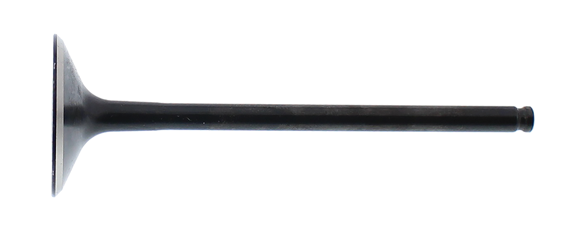 Exhaust Valve