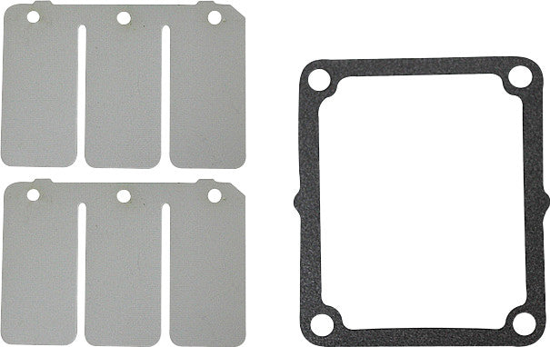 Reed Valve Rebuild Kit