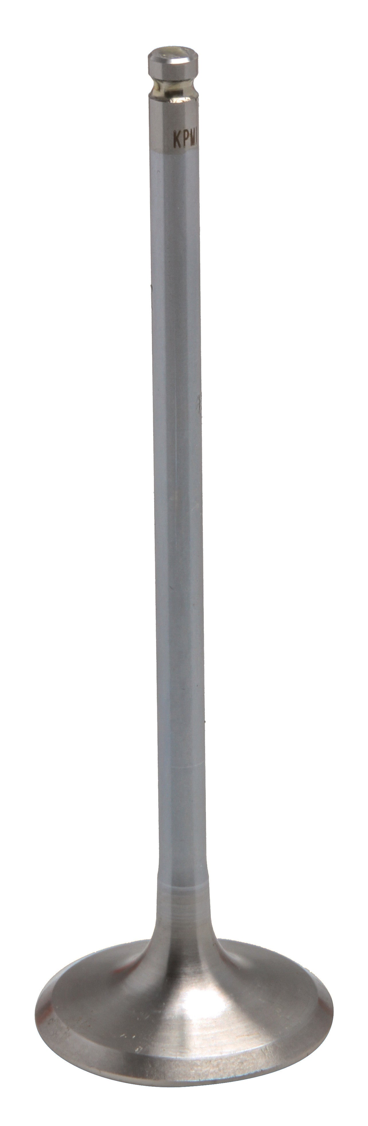 Exhaust Valve