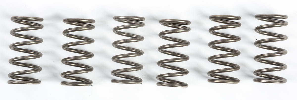CLUTCH SPRINGS CSK165