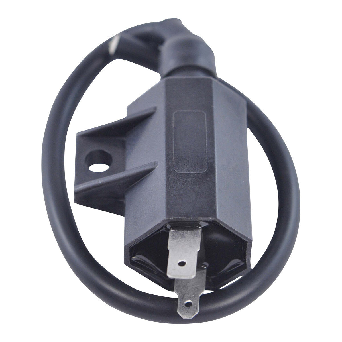 External Ignition Coils