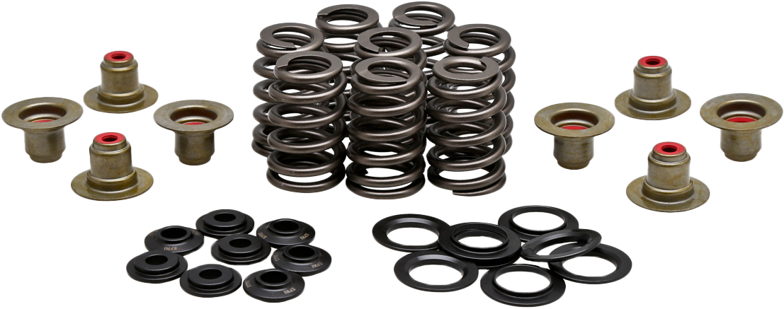 BEEHIVE VALVE SPRING KIT .550 LIFT M8`17-24 NON VVT