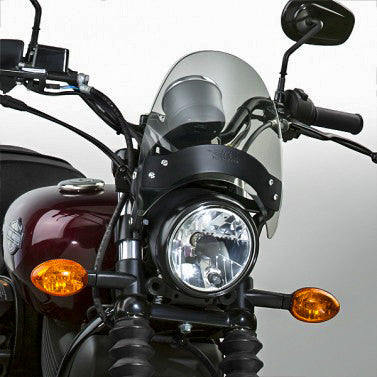Flyscreen Windshield