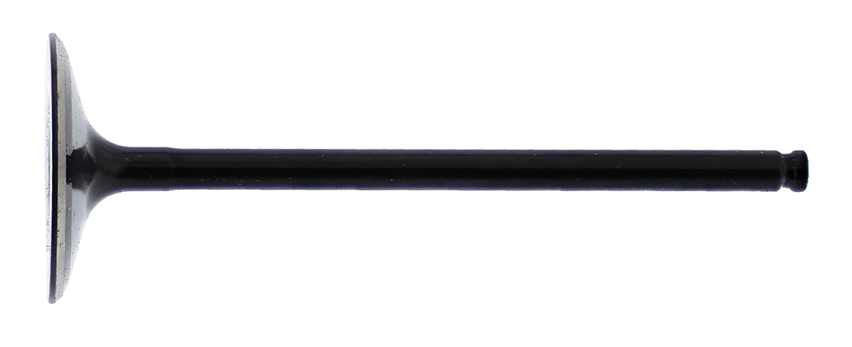 Intake Valve