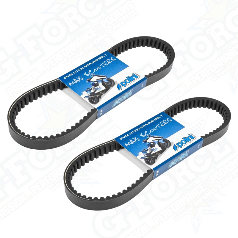 Polini HP Over Range Belt (818mmx18.5mm) #P248.042 (2-PACK)