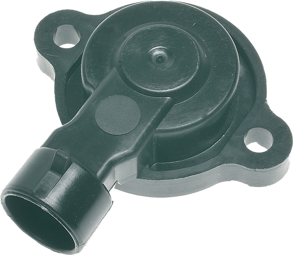 Electronic Throttle Position Sensor