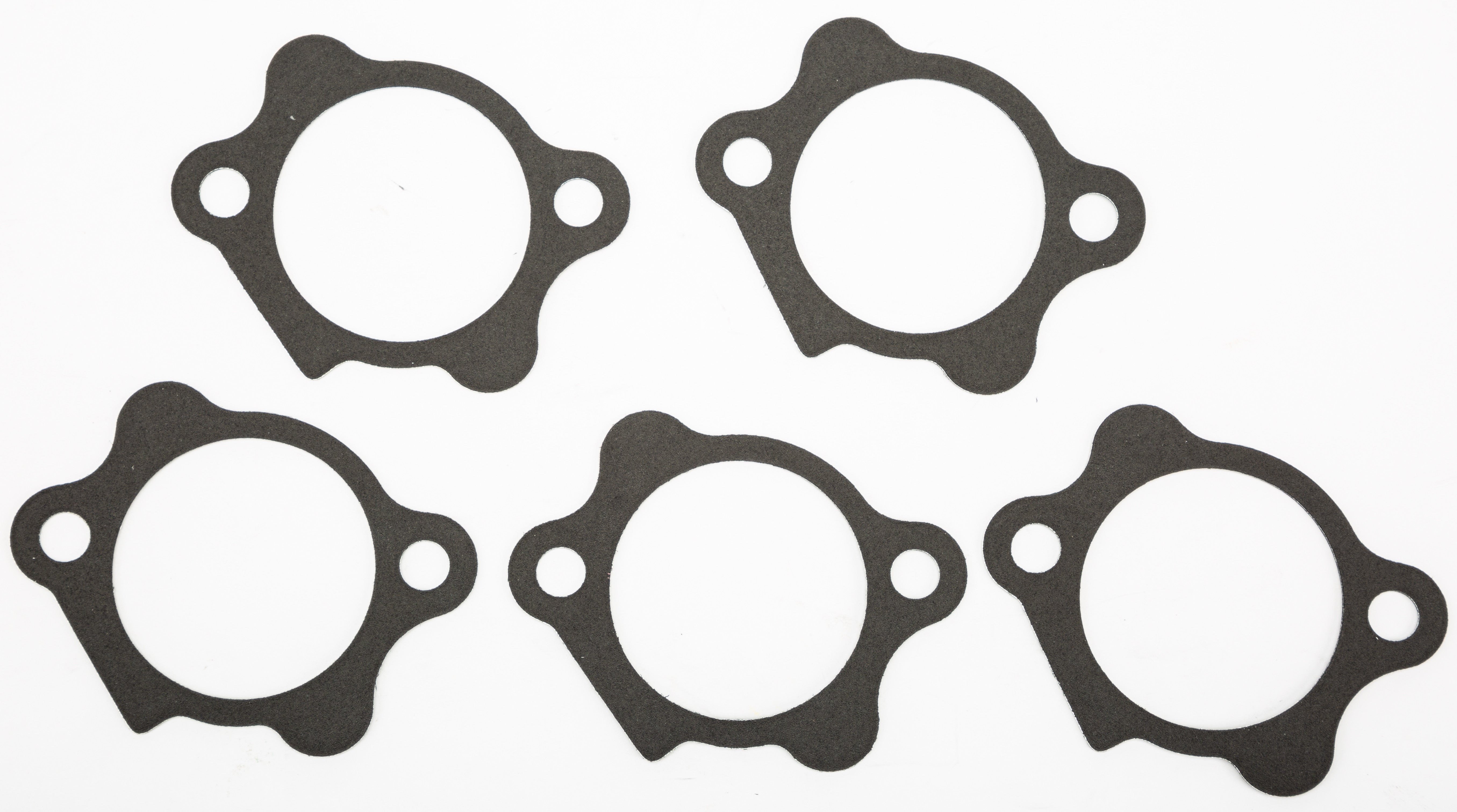 Sportster Starter Motor Gasket