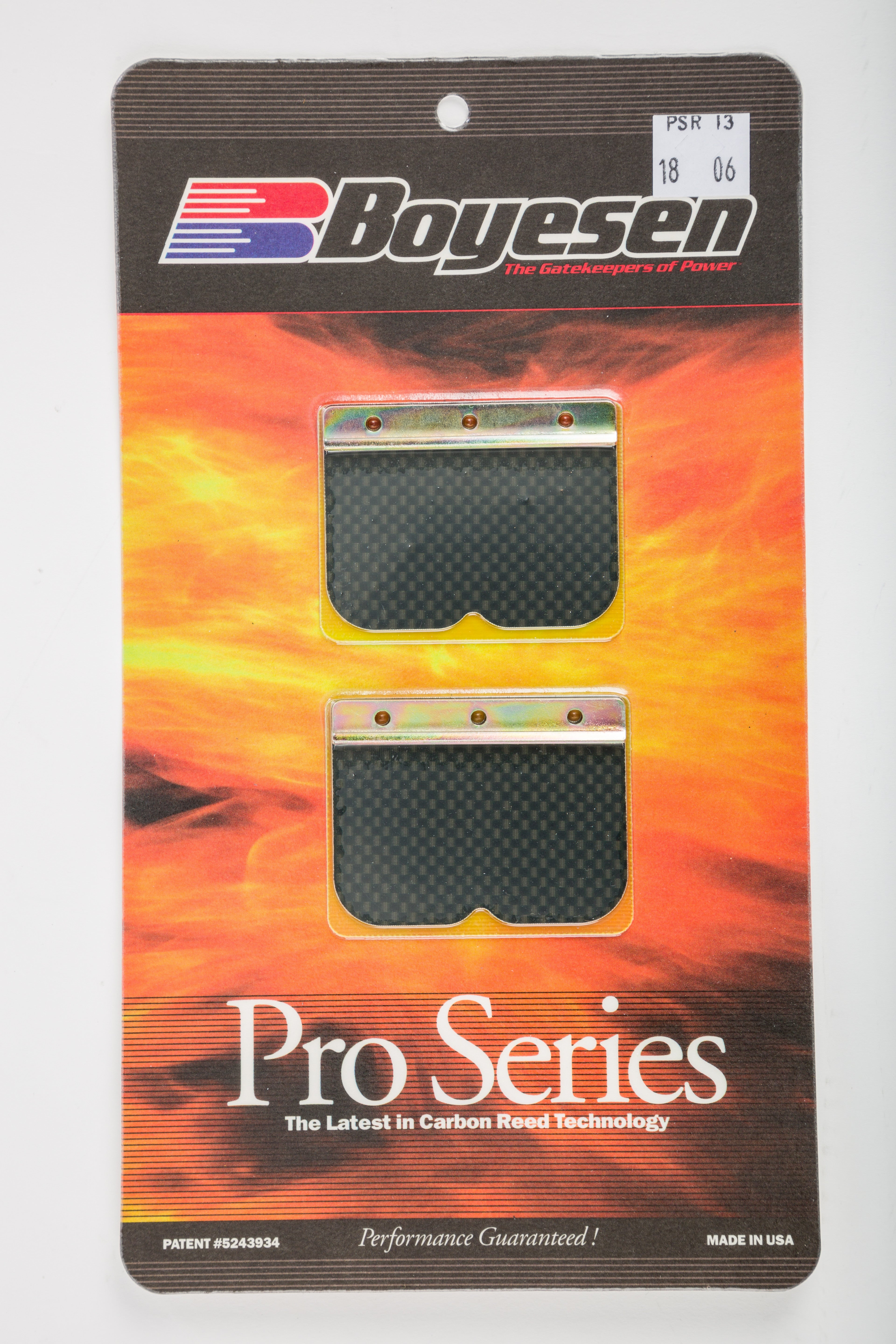 MOTORCYCLE PRO REEDS