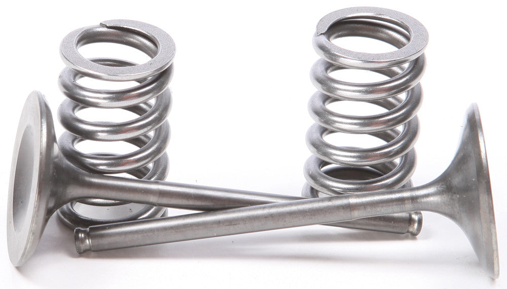 Steel Intake Spring Kit