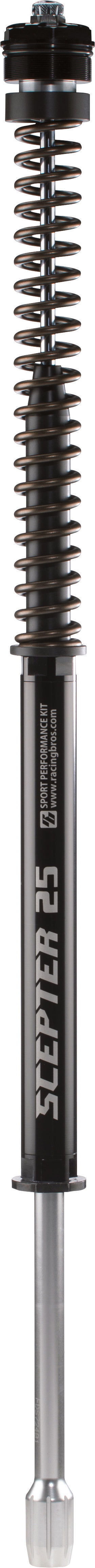 SCEPTER FORK KIT STD 39MM XL883R 11-15 XL1200V 09-15