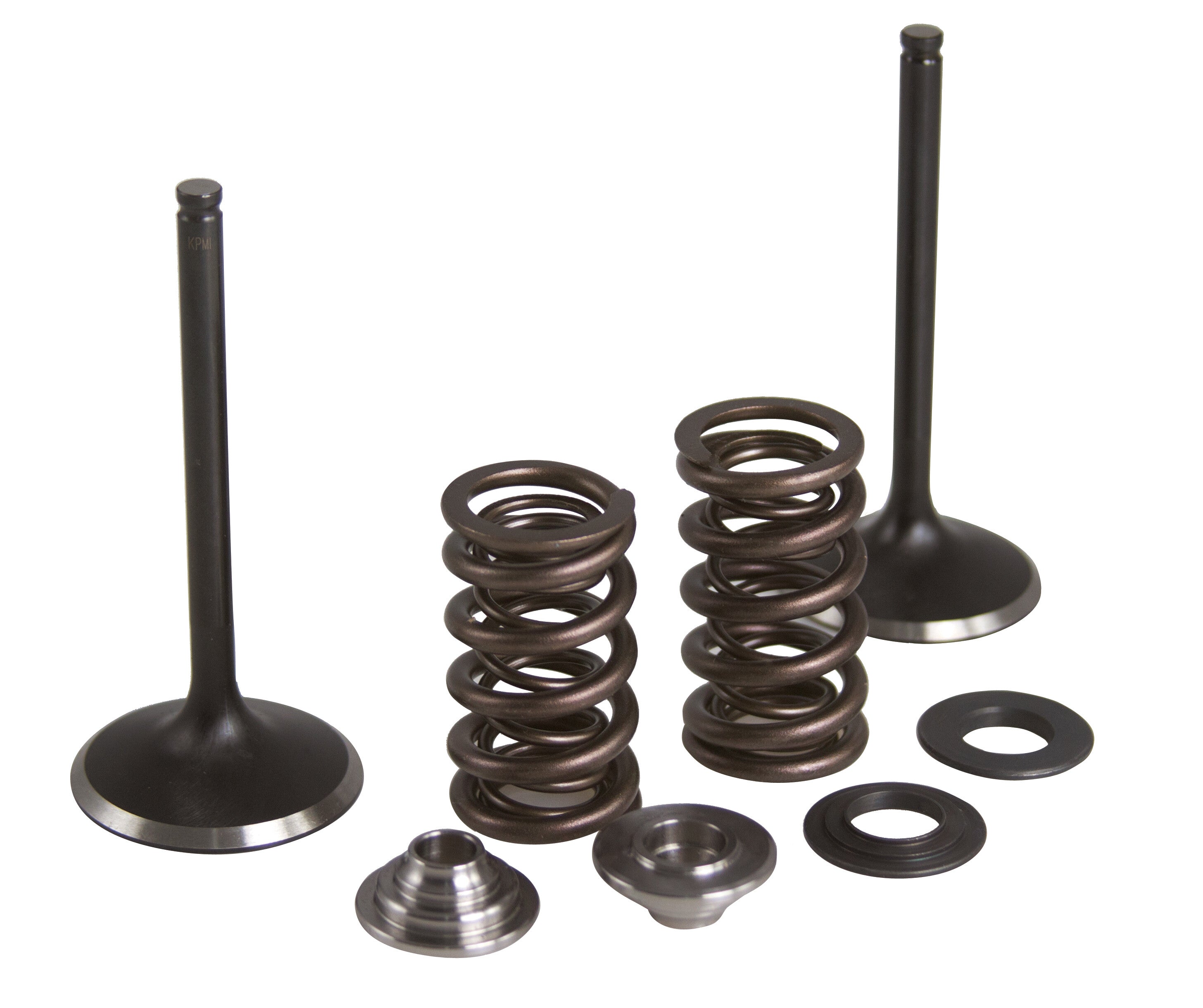 Intake Valve Spring Kit