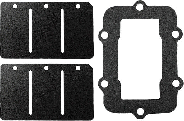 Reed Valve Rebuild Kit