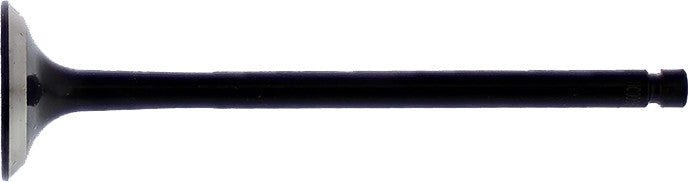 Exhaust Valve