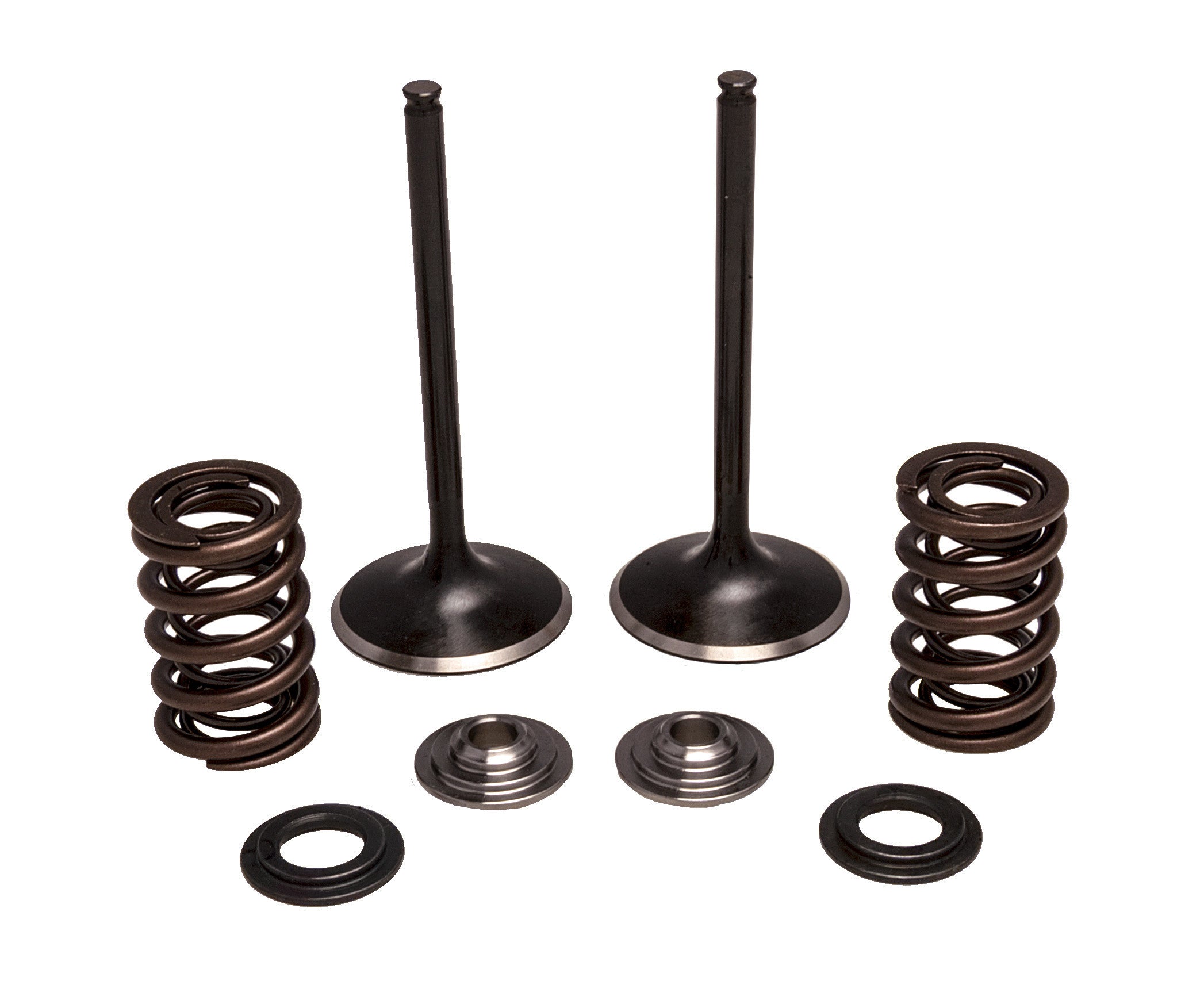 Intake Valve Spring Kit