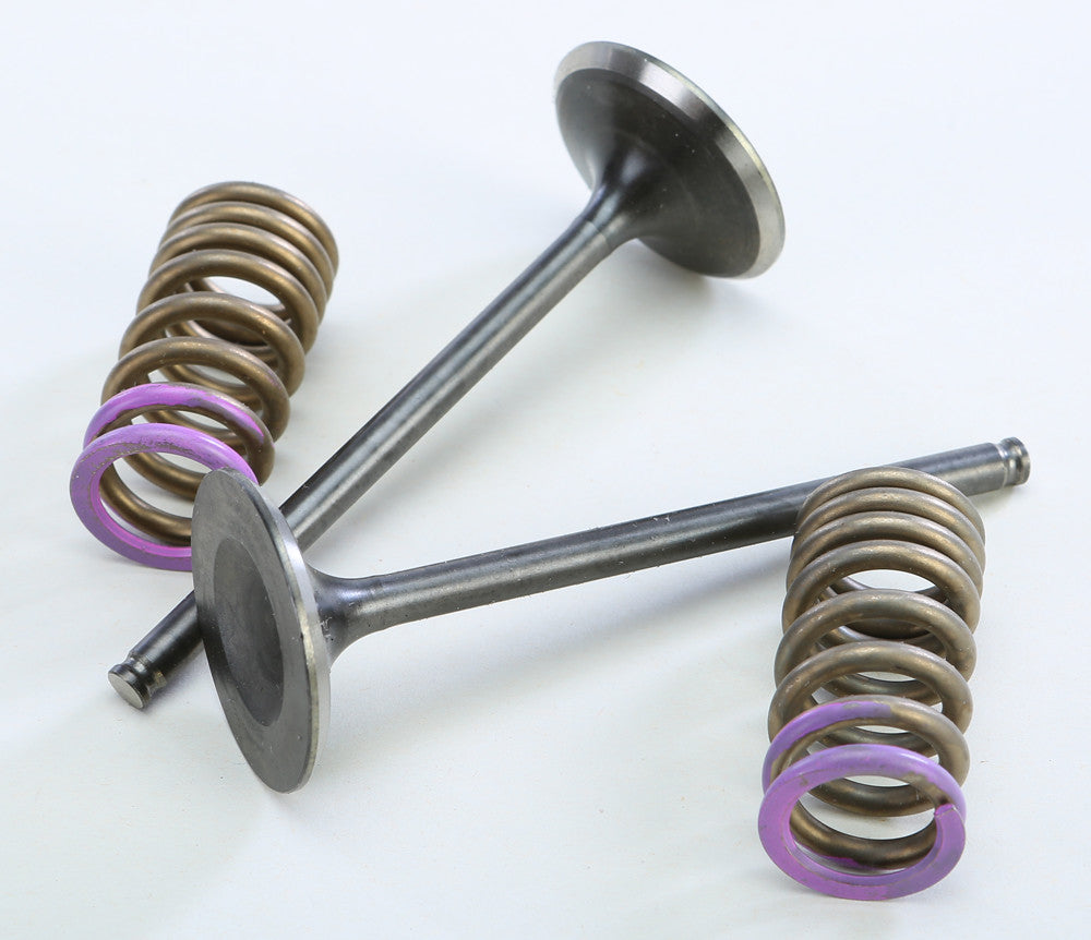 Steel Intake Spring Kit