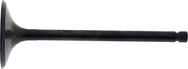 Intake Valve