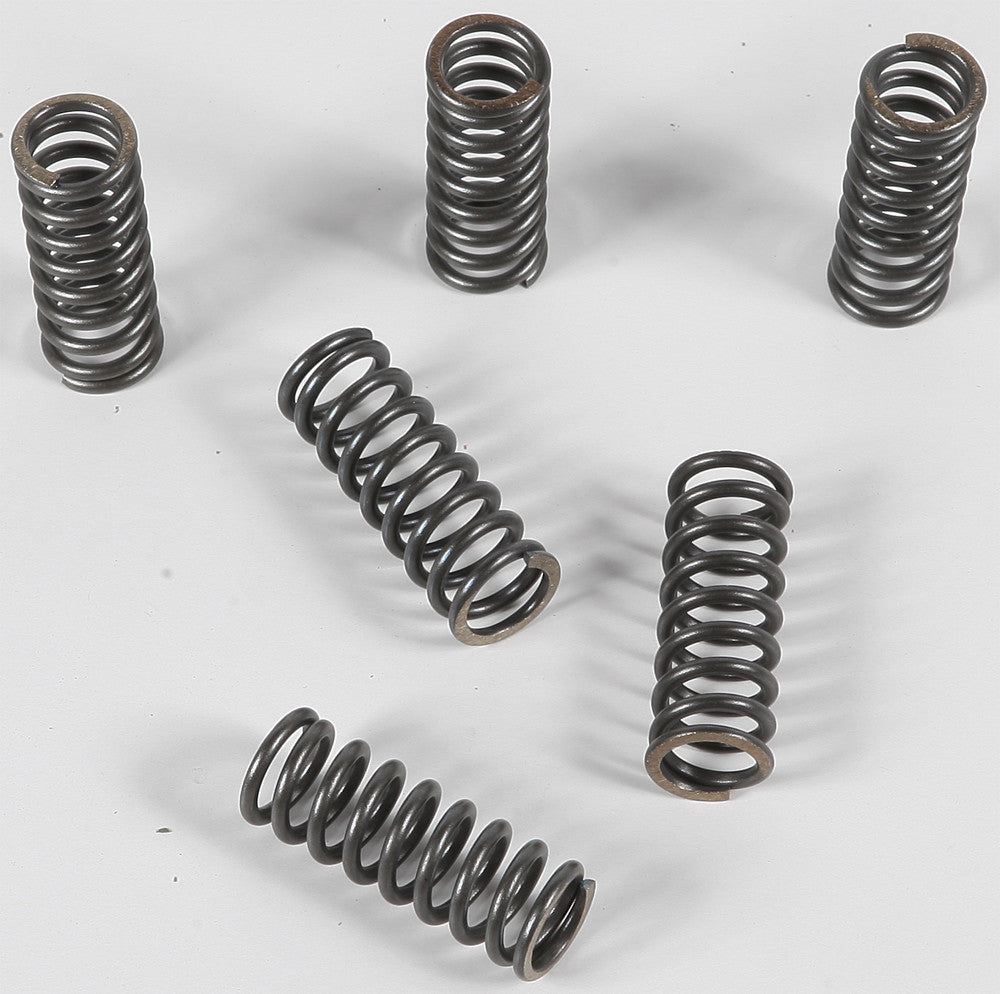 CLUTCH SPRINGS CSK45