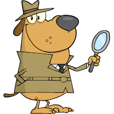 RESEARCH ORDER INQUIRY - SEE NOTES BELOW - G-FORCE POWERSPORTS