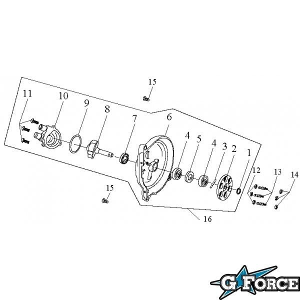 #13 Water Pump Bolt - G-FORCE POWERSPORTS