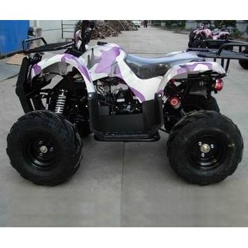 TaoTao 125cc Utility ATV - G-FORCE POWERSPORTS