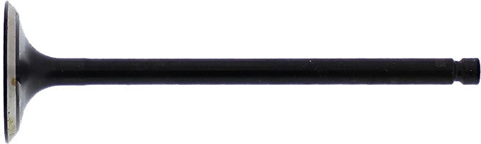 Intake Valve