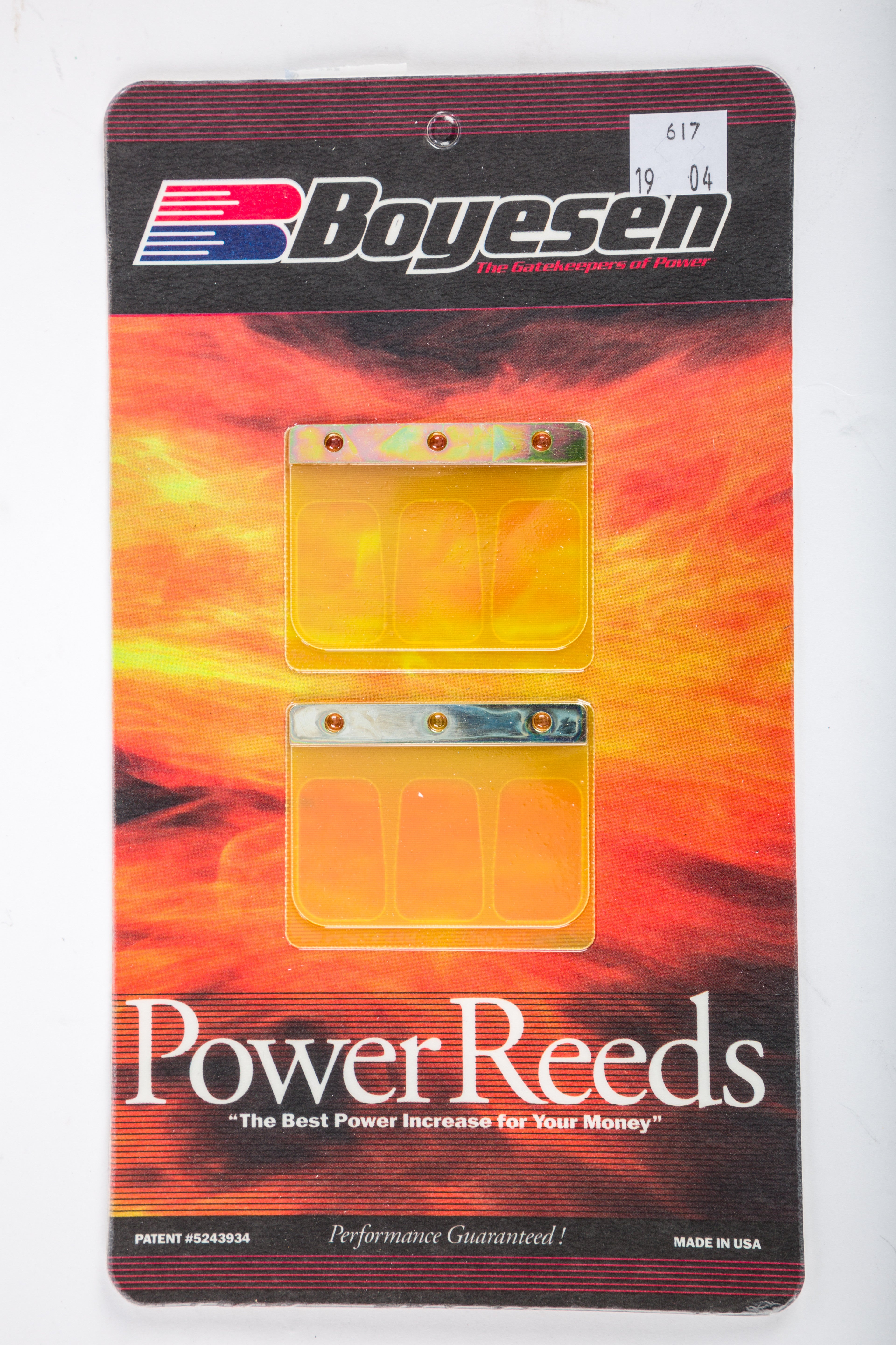 MOTORCYCLE REEDS