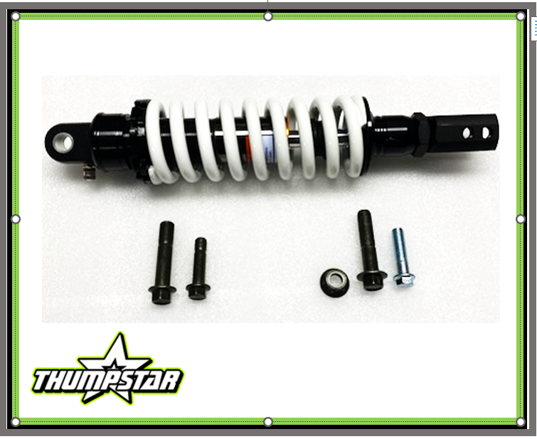 3937 Rear Shock Absorber