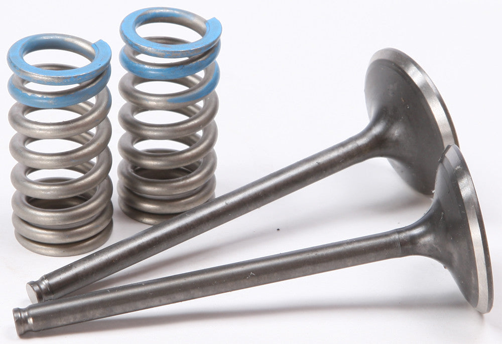 Steel Intake Spring Kit
