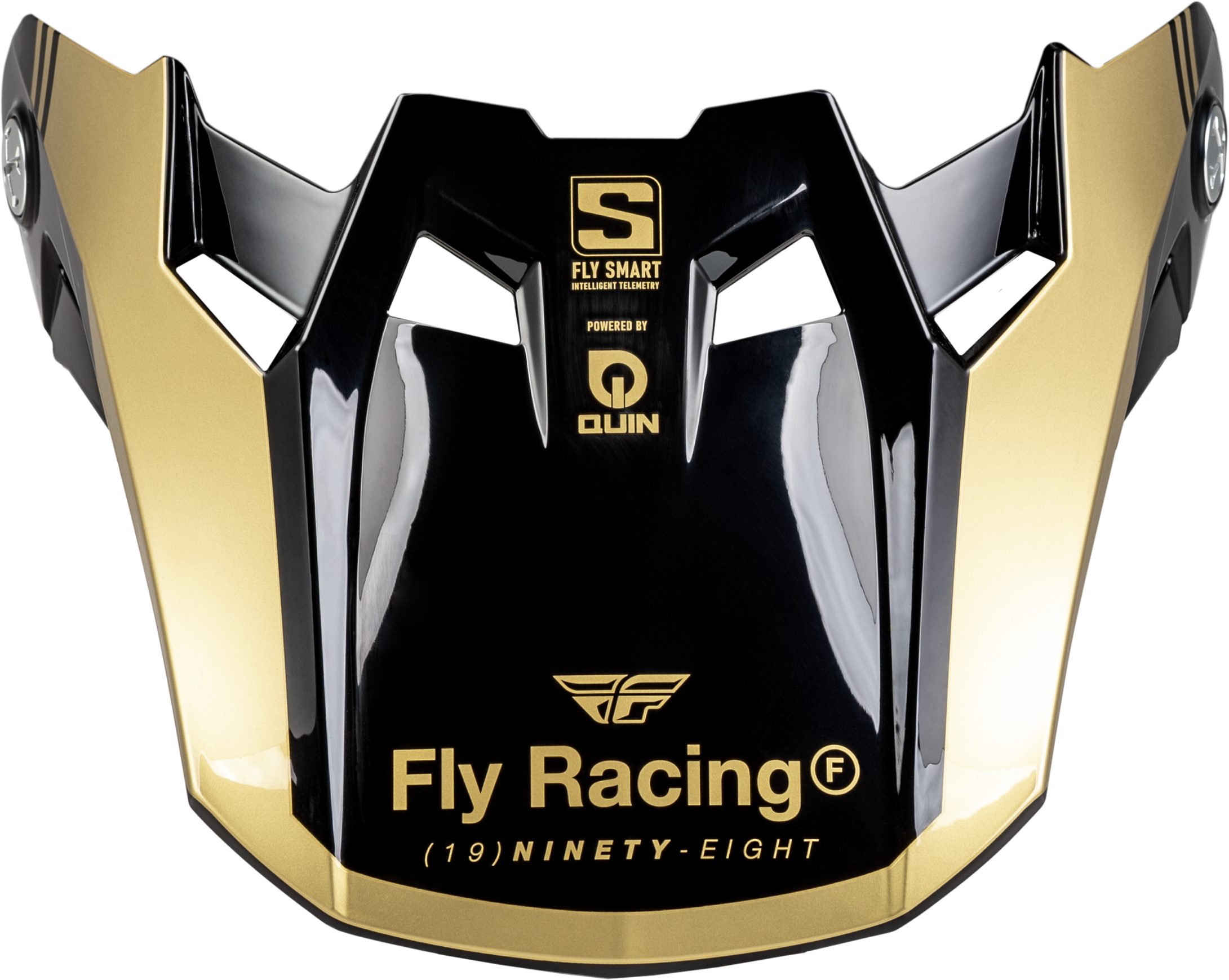 FORMULA S CARBON LEGACY VISOR BLACK/GOLD XL/2X