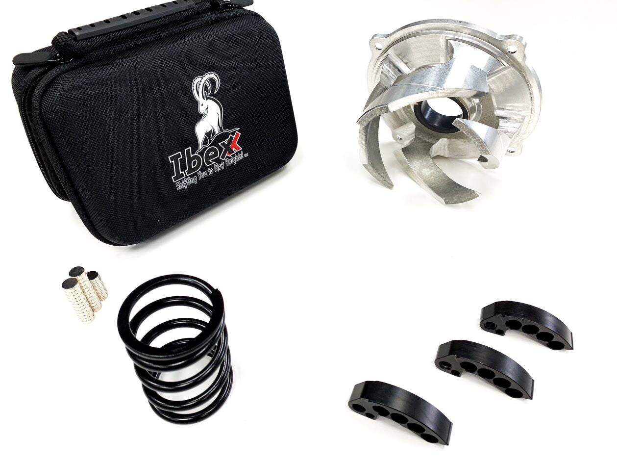 Stage 2 Clutch Kit