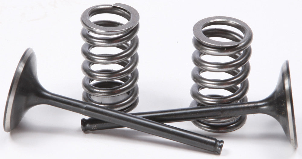 Steel Intake Spring Kit