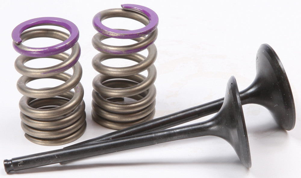 Steel Intake Spring Kit