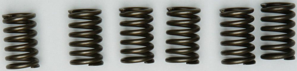 CLUTCH SPRINGS CSK131