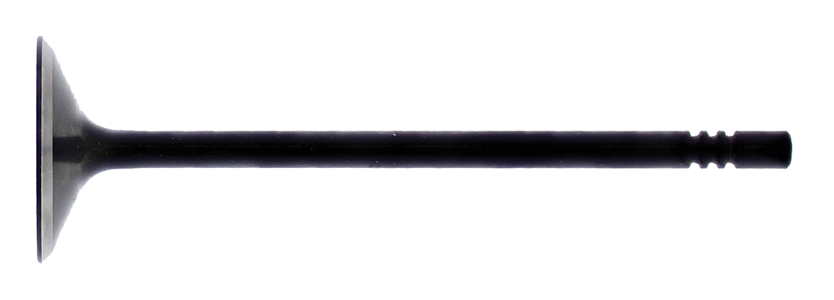 Intake Valve