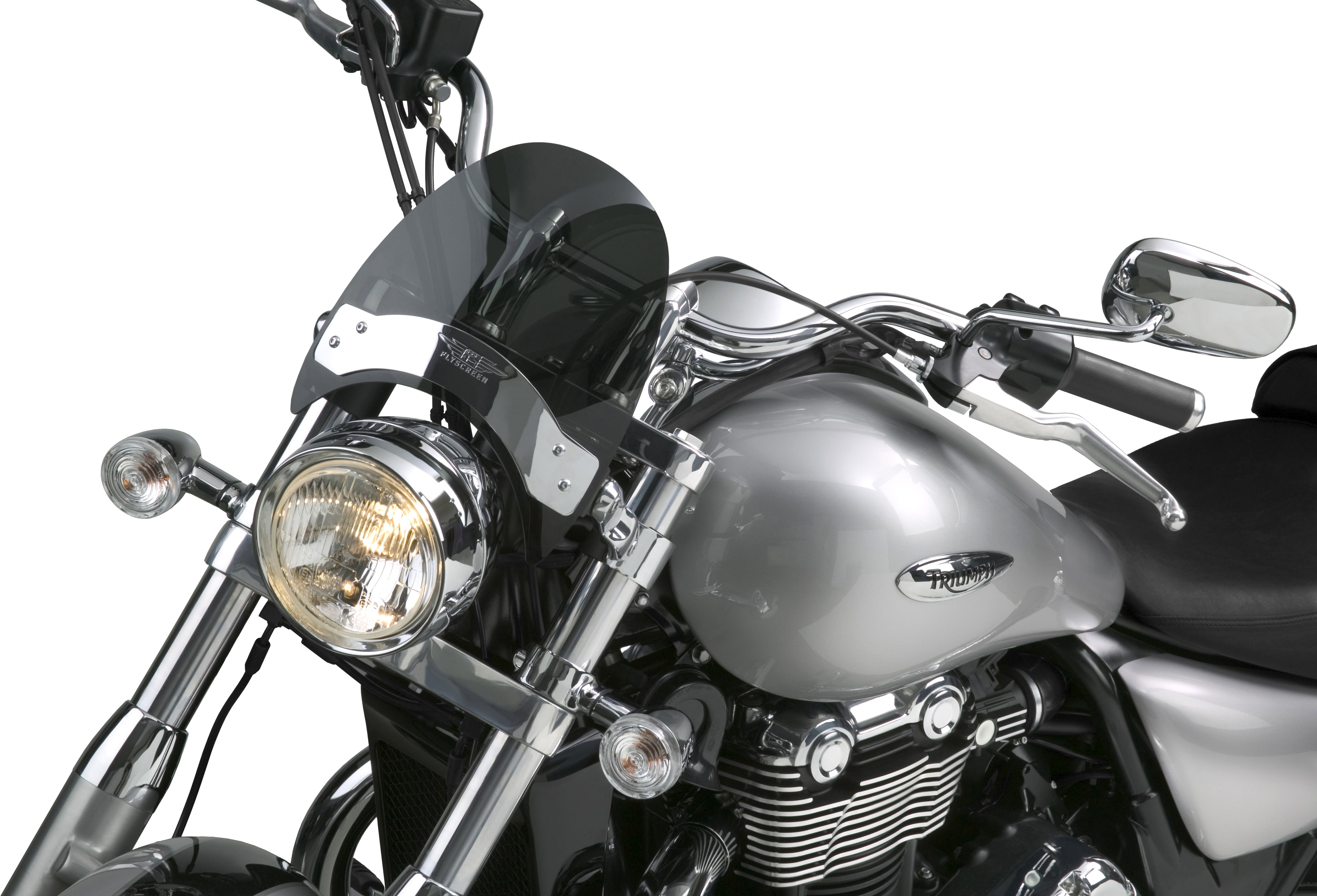 Flyscreen Windshield
