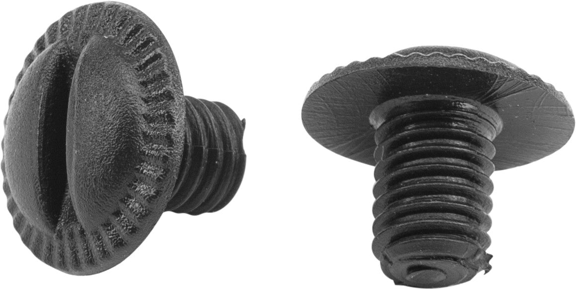 Visor Screws