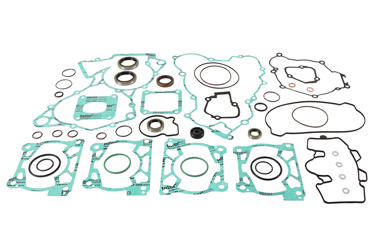 COMPLETE GASKET SET WITH OIL SEALS