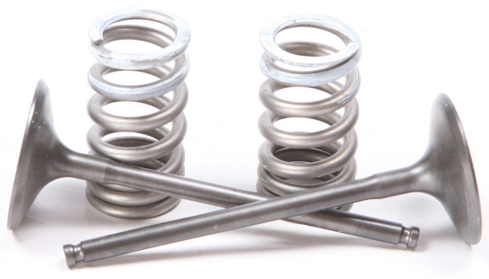 Steel Intake Spring Kit