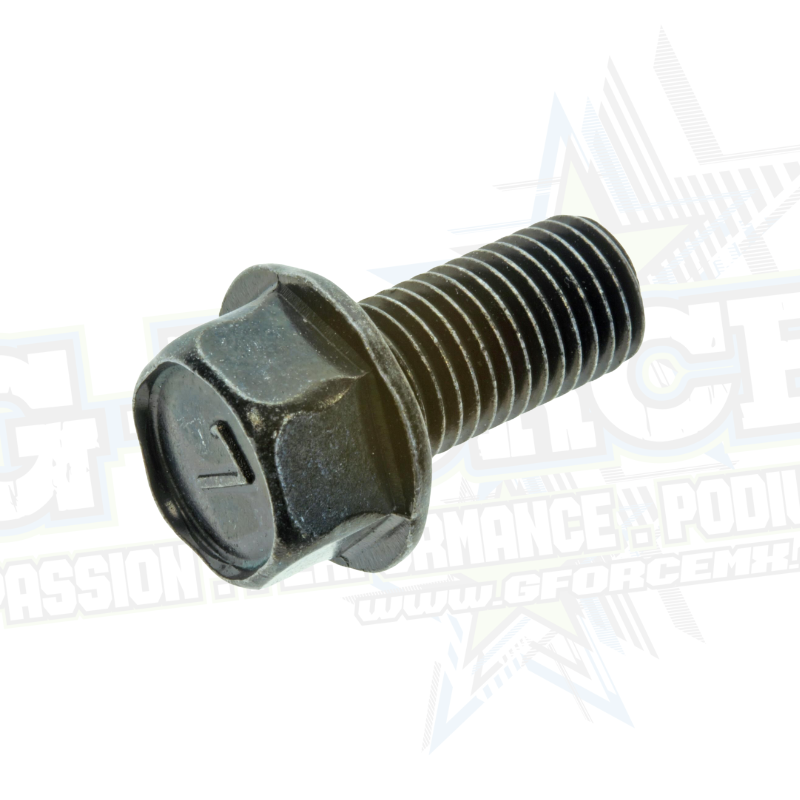 (13)  Rear Carrier Mounting Bolts